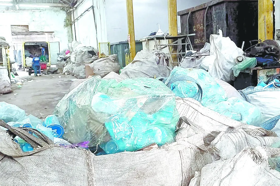 Coleta seletiva totalizou 11 bags com mais de 20 mil copos plásticos. Processados, voltam à indústria