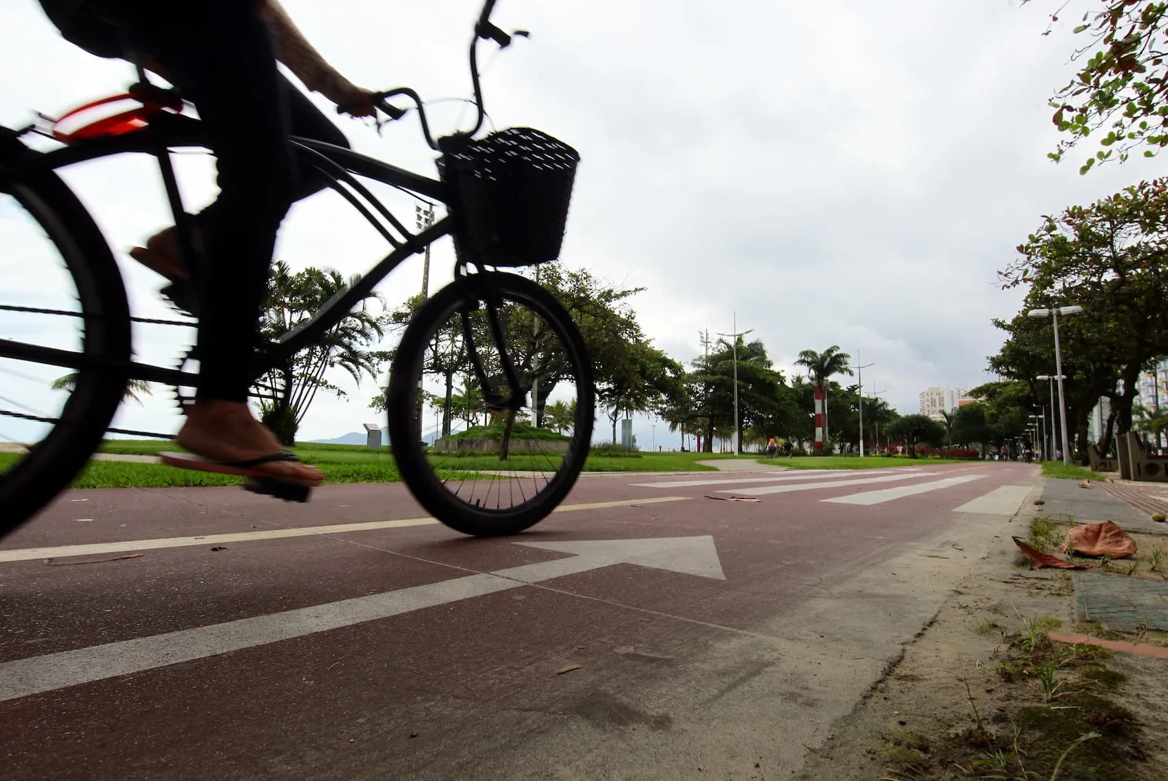 Deslocamentdos de bicicleta, a pé ou de patinete eliminam a emissão de poluentes