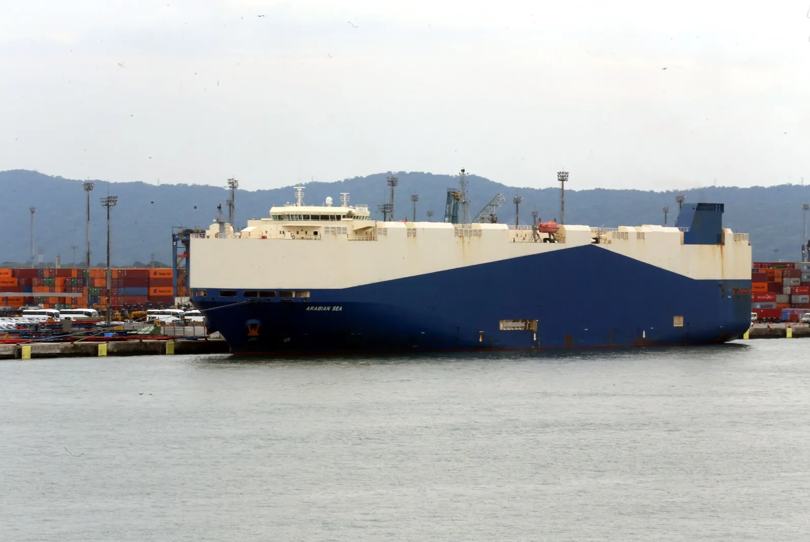 Movimentação de navios no Porto de Santos: aumento da profundidade do canal de navegação será abordado
