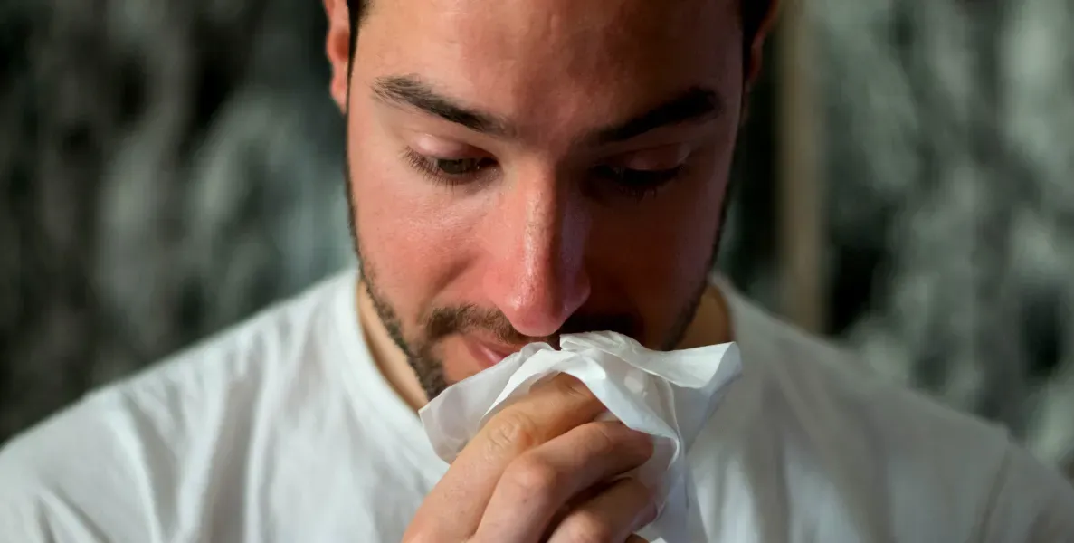   Ácaros, poeira, e agentes irritativos são os principais vilões das alergias respiratórias  