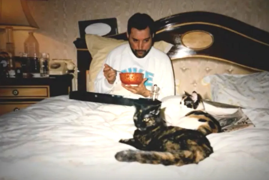 Freddie Mercury ao lado de uma de suas gatas preferidas, Delilah
