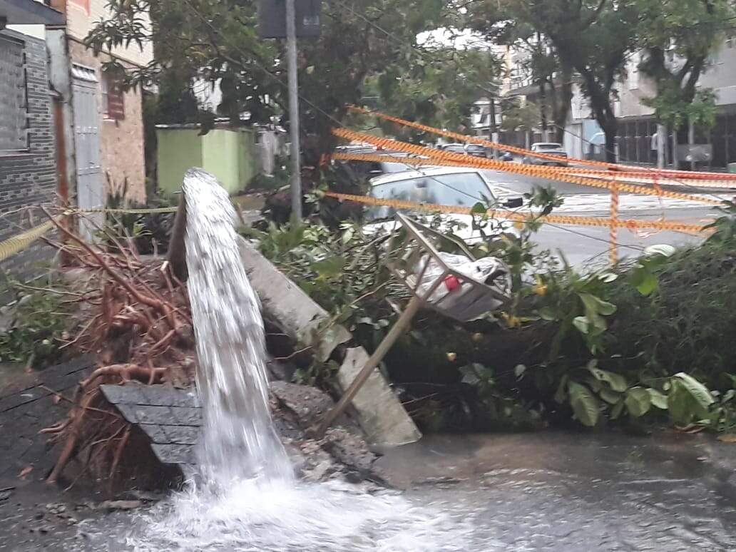 Queda de árvore provocou rompimento de cano em Santos