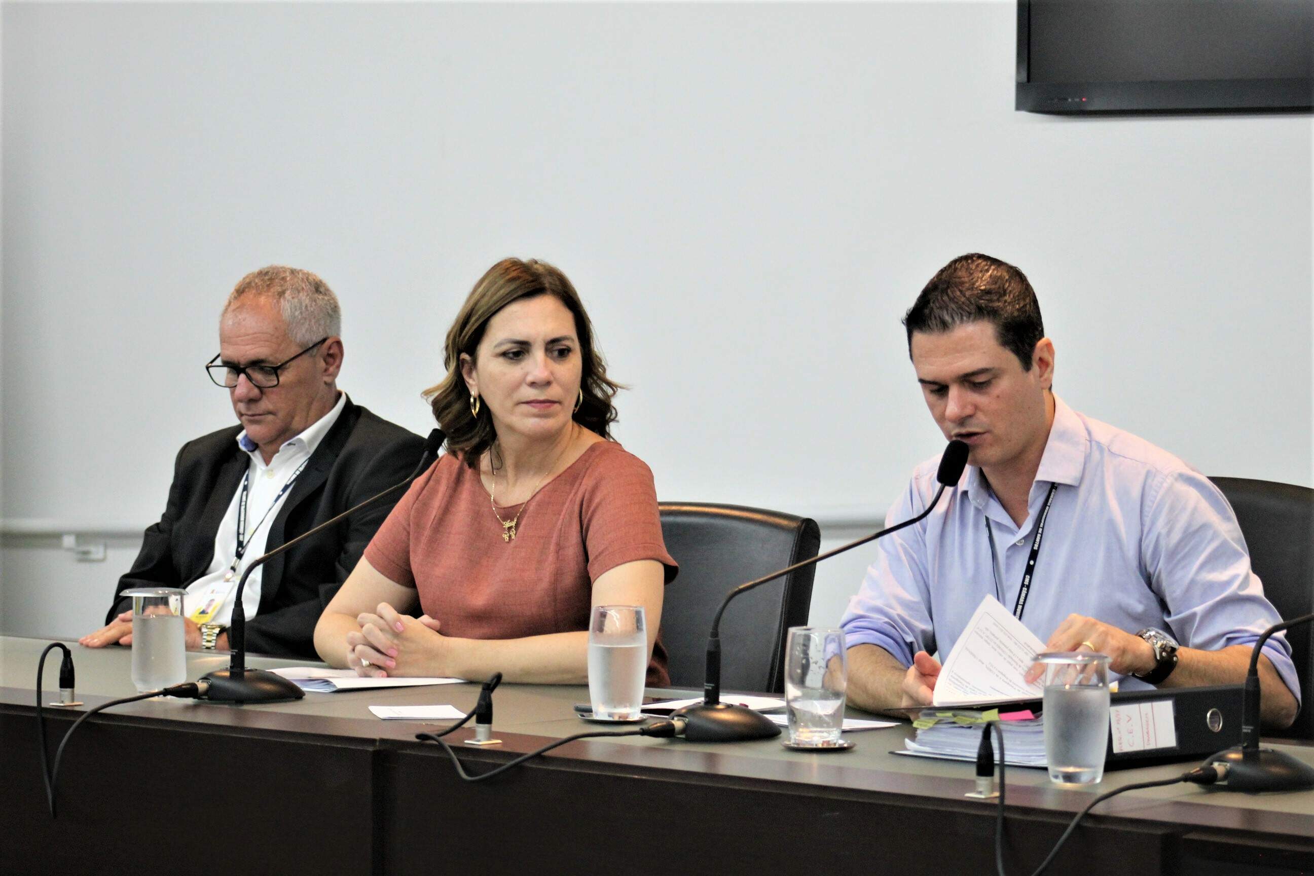 Rosana Valle fez apresentação do projeto na Câmara de Santos