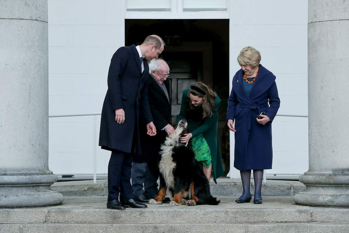 Bród recebe afago da princesa Kate durante visita à Irlanda