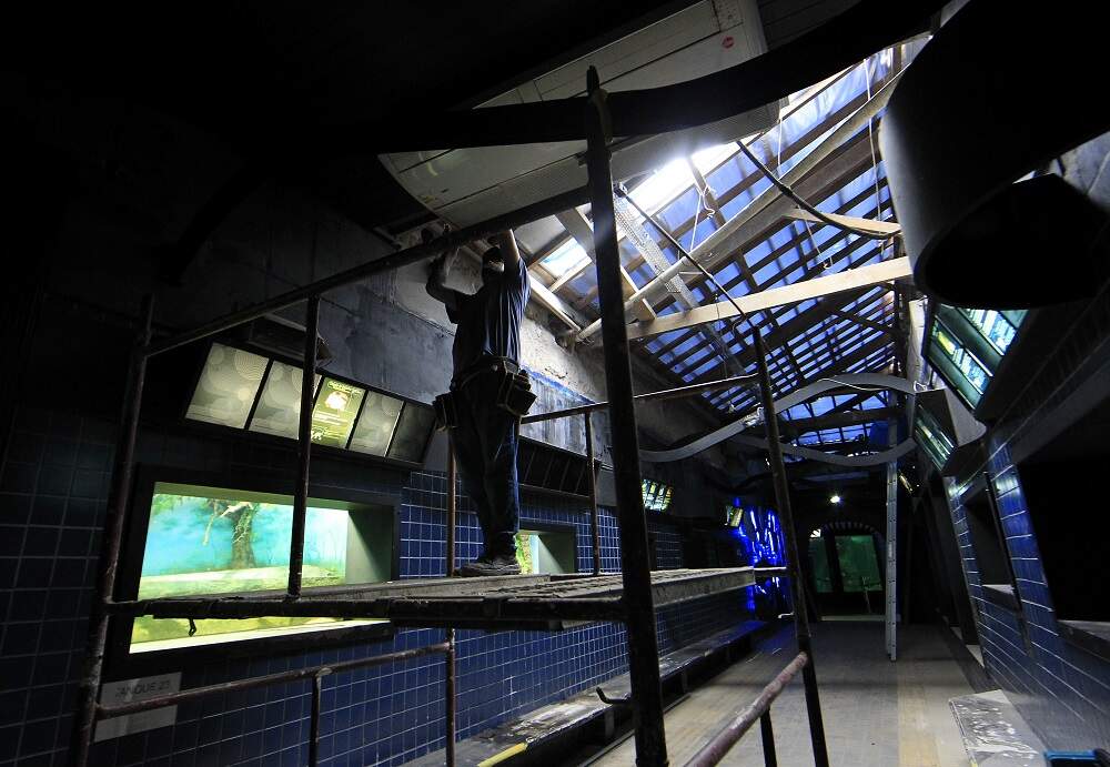 Última fase da reforma tratou do telhado e limpeza em três recintos de animais