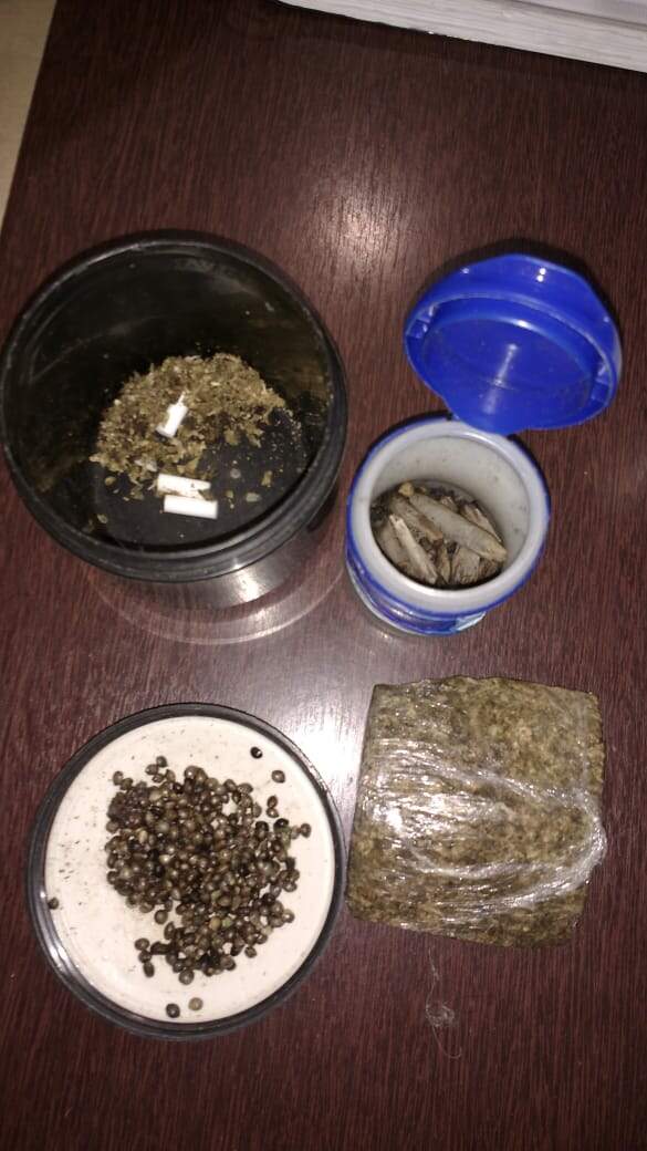 Polícia encontrou um tablete de maconha, porções a granel e sementes para plantio