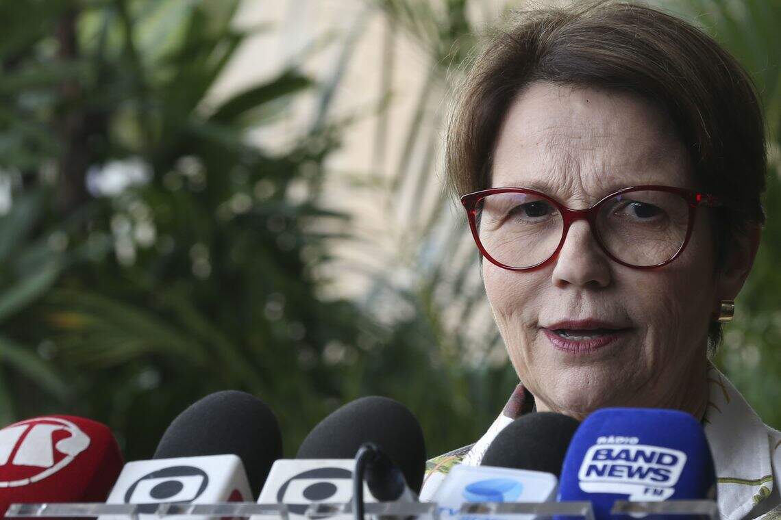 Segundo deputada, Bolsonaro pediu estudos de viabilidade para reestruturar o ministério