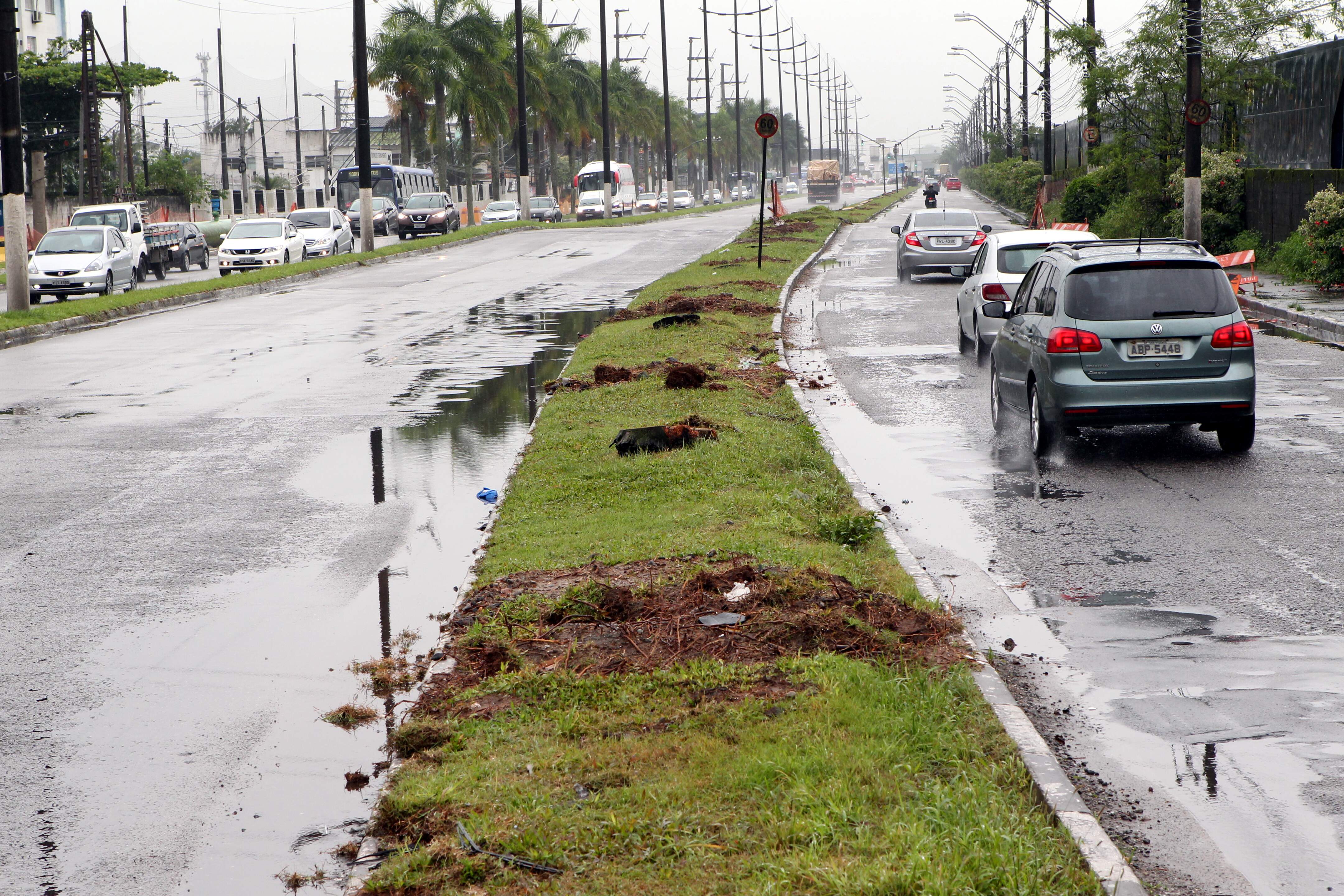 No total, Prefeitura de Santos deverá retirar 79 árvores da entrada da cidade