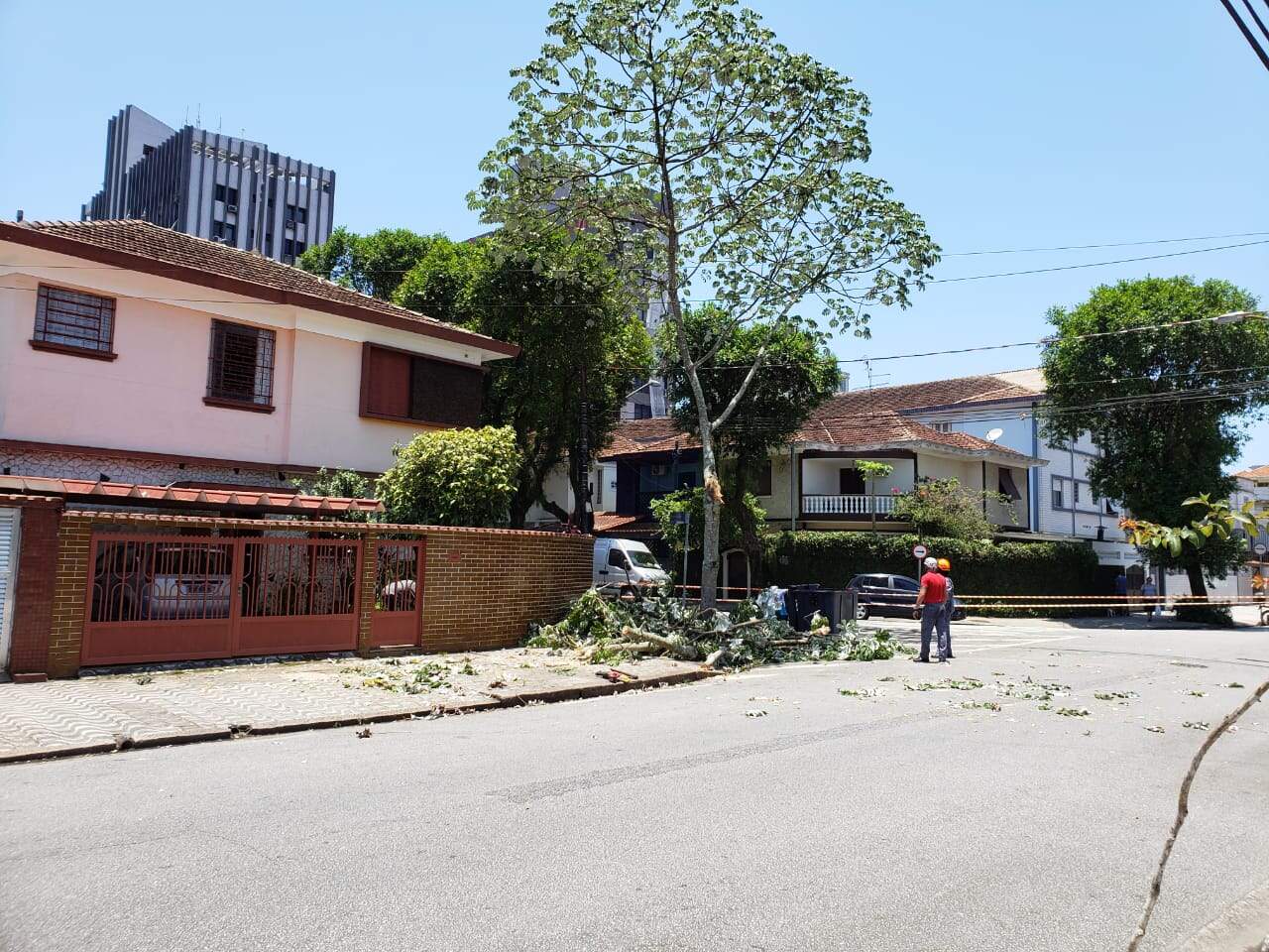 Parte de galhos e troco atingiram uma senhora que passava por esquina em Santos