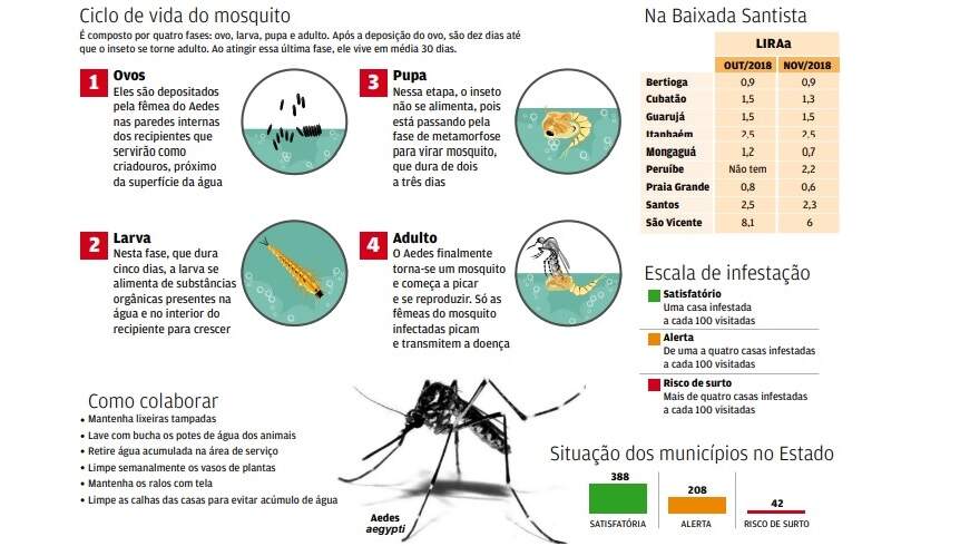 Índice de infestação de Aedes é preocupante em seis cidades 