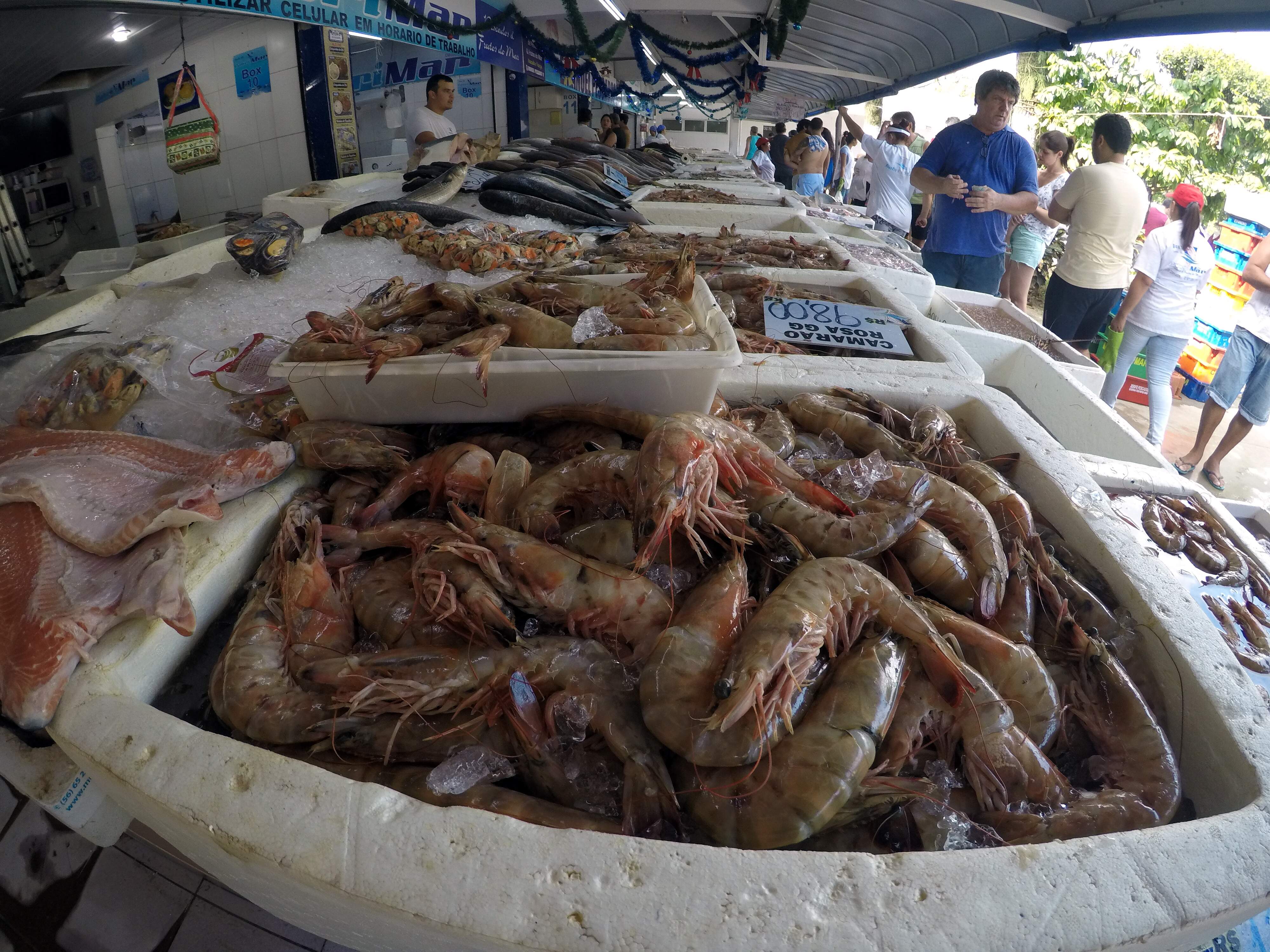 Queda no preço do quilo do camarão impulsionou o movimento no Mercado de Peixes