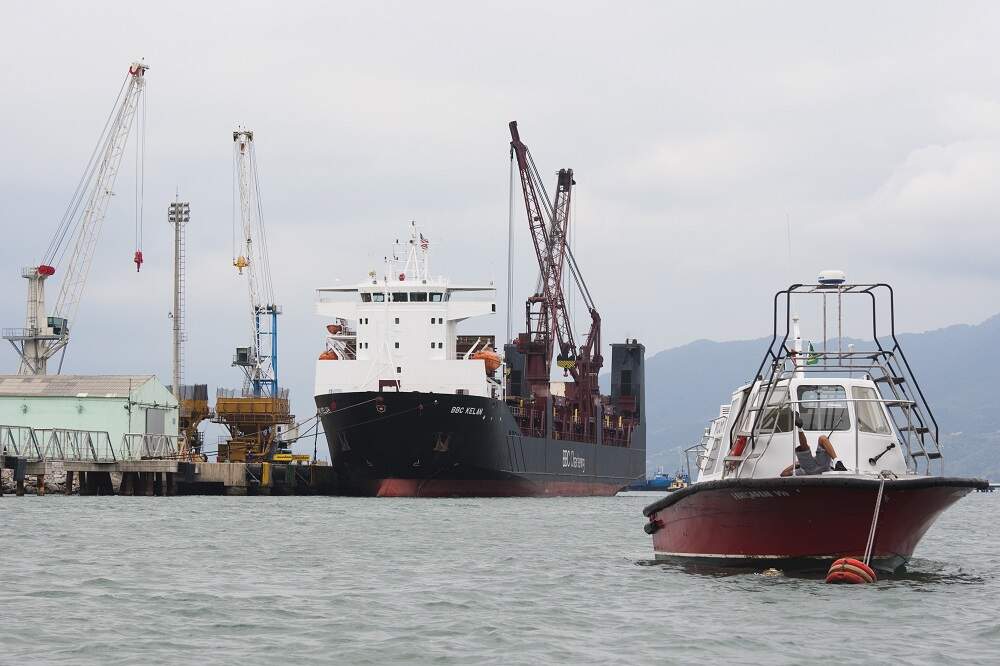 Navio em São Sebastião: mais de 150 mil bois foram carregados no porto