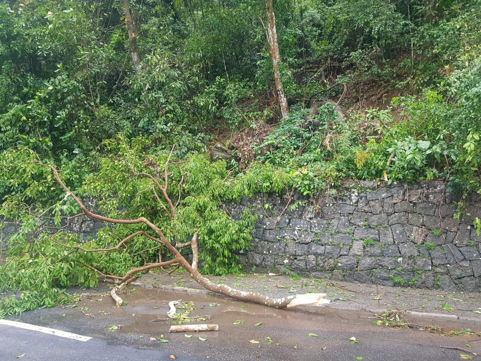 Com risco de novos deslizamentos, Avenida Newton Prado, em São Vicente, segue interditada