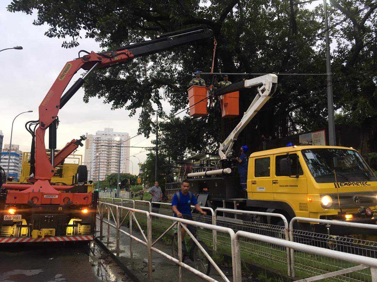 Serviço do VLT ficou suspenso devido à queda de uma árvore em São Vicente 
