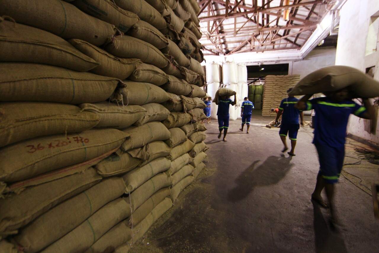 Complexo marítimo santista carregou 7,9 milhões de sacas de café nos primeiros três meses do ano