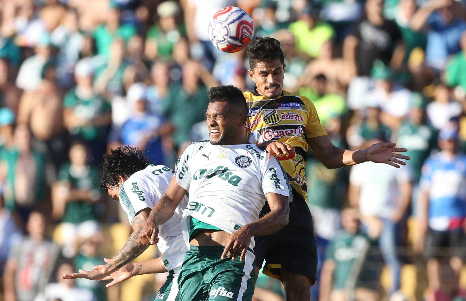 Palmeiras e Novorizontino jogaram no último sábado pelo jogo de ida das quartas de final