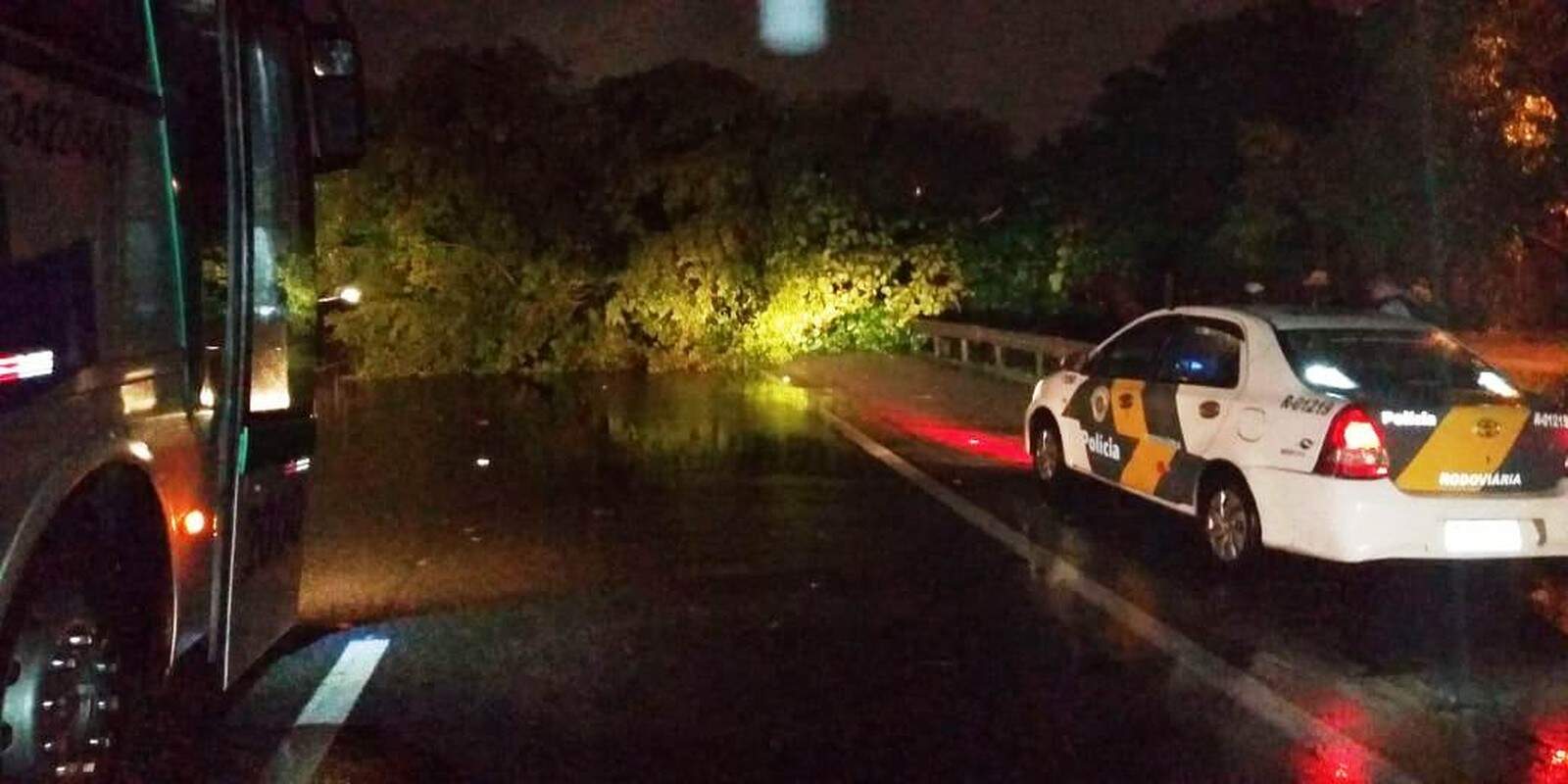 Árvore caiu no Km 66 da Rodovia dos Imigrantes 