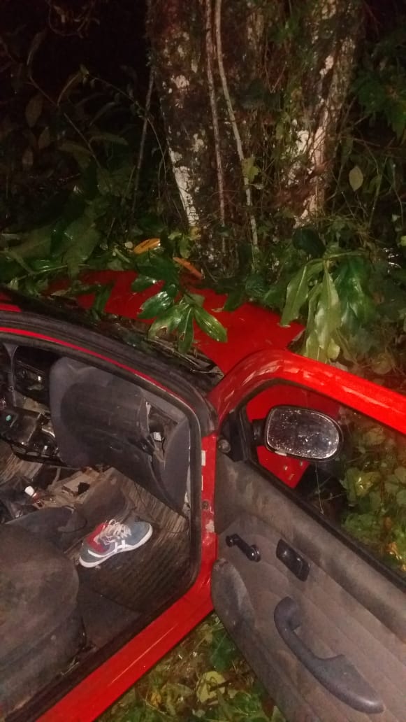 Veículo vermelho colidiu contra uma árvore na Avenida Guarujá-Bertioga