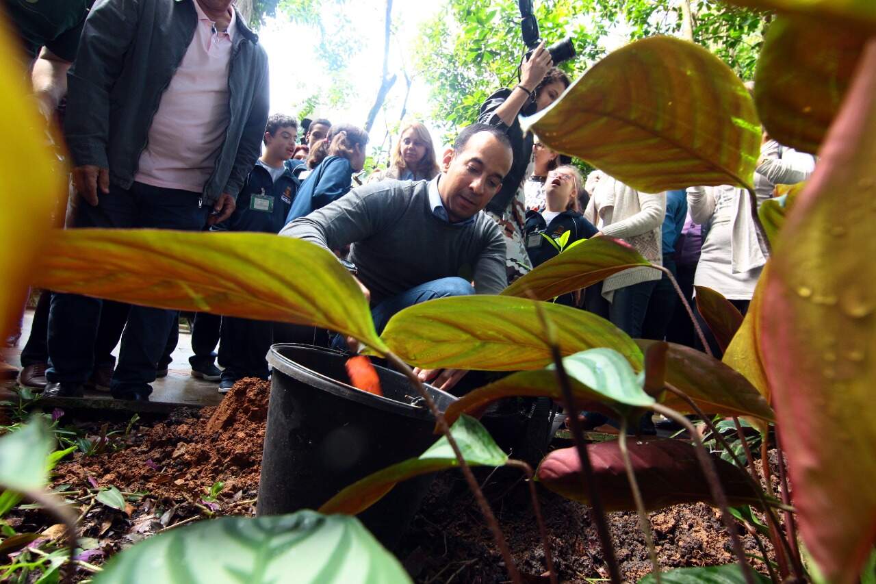 Após assinar decreto, prefeito e alunos de escola plantaram árvores 