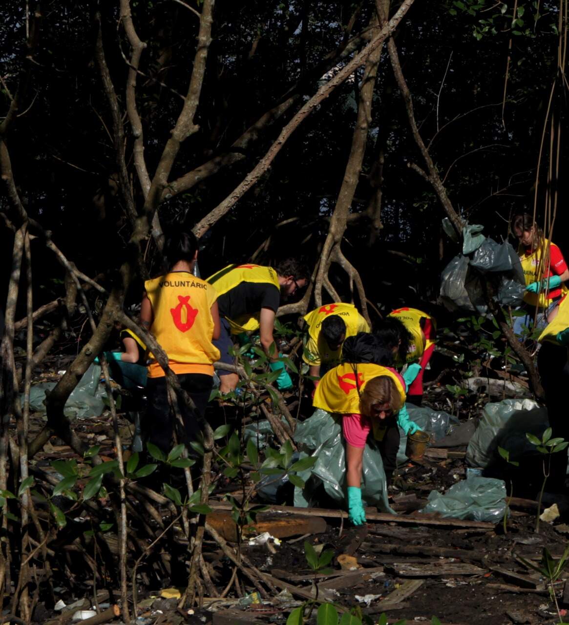 Oitenta pessoas retiraram mais de uma tonelada de lixo do mangue
