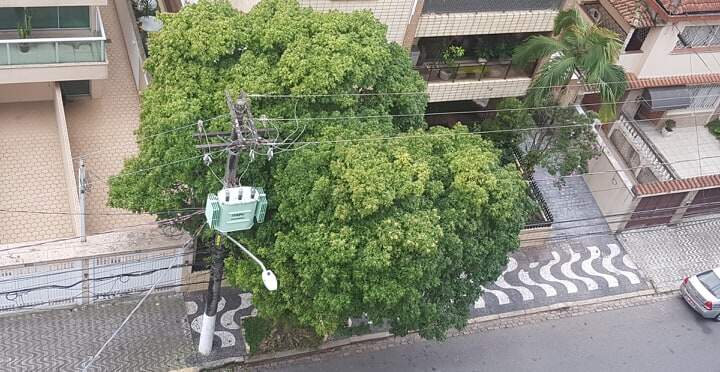 Árvore próxima a transformador causa preocupação a moradores do Gonzaga 