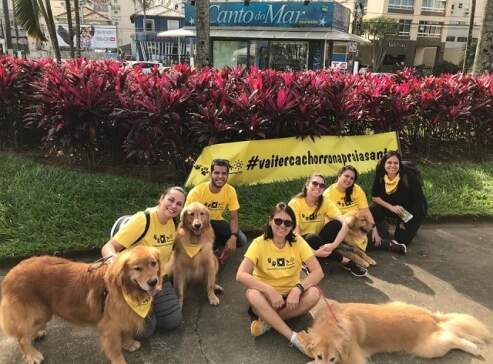 Campanha 'Vai ter cachorro na praia, sim' juntou pessoas que possui cachorros em Santos