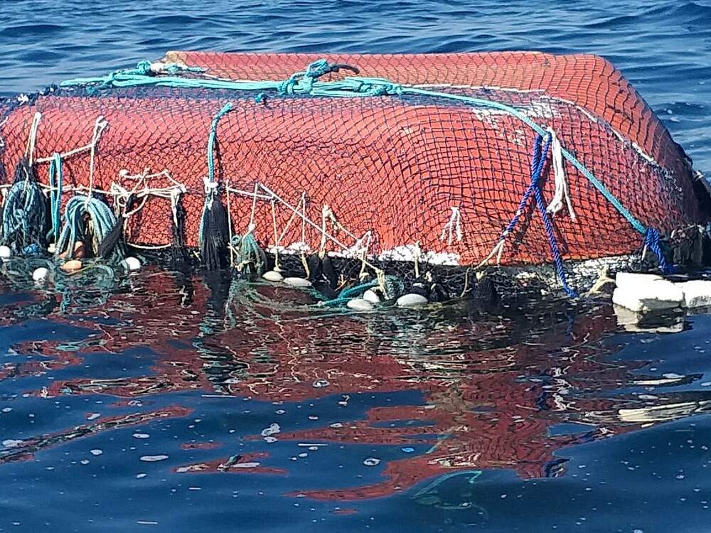 Fundação Florestal fez alerta sobre rede de pesca fantasma encontrada no mar