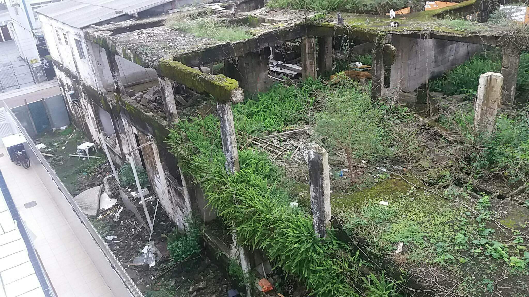 Terreno abandonado há 40 anos revolta vizinhos em Praia Grande