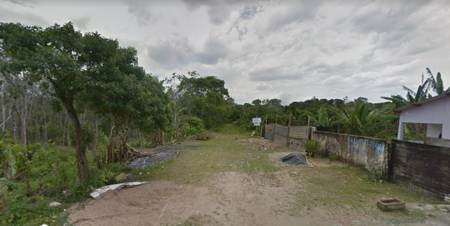 Guarujá realiza força-tarefa para coibir desmatamento no Jardim Enseada