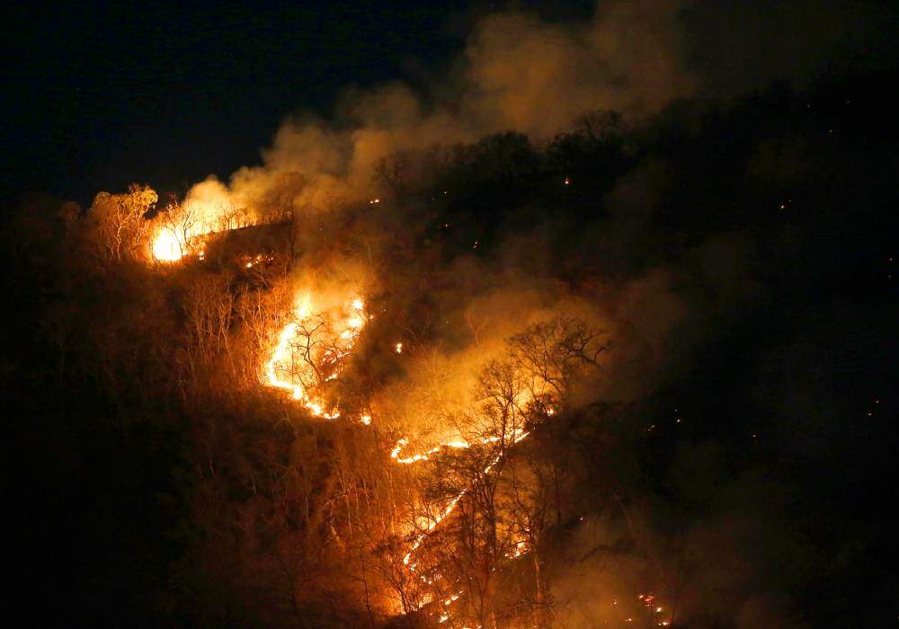 Imagens como a deste incêndio em mata do Tocantins rodaram o mundo nos últimos dias