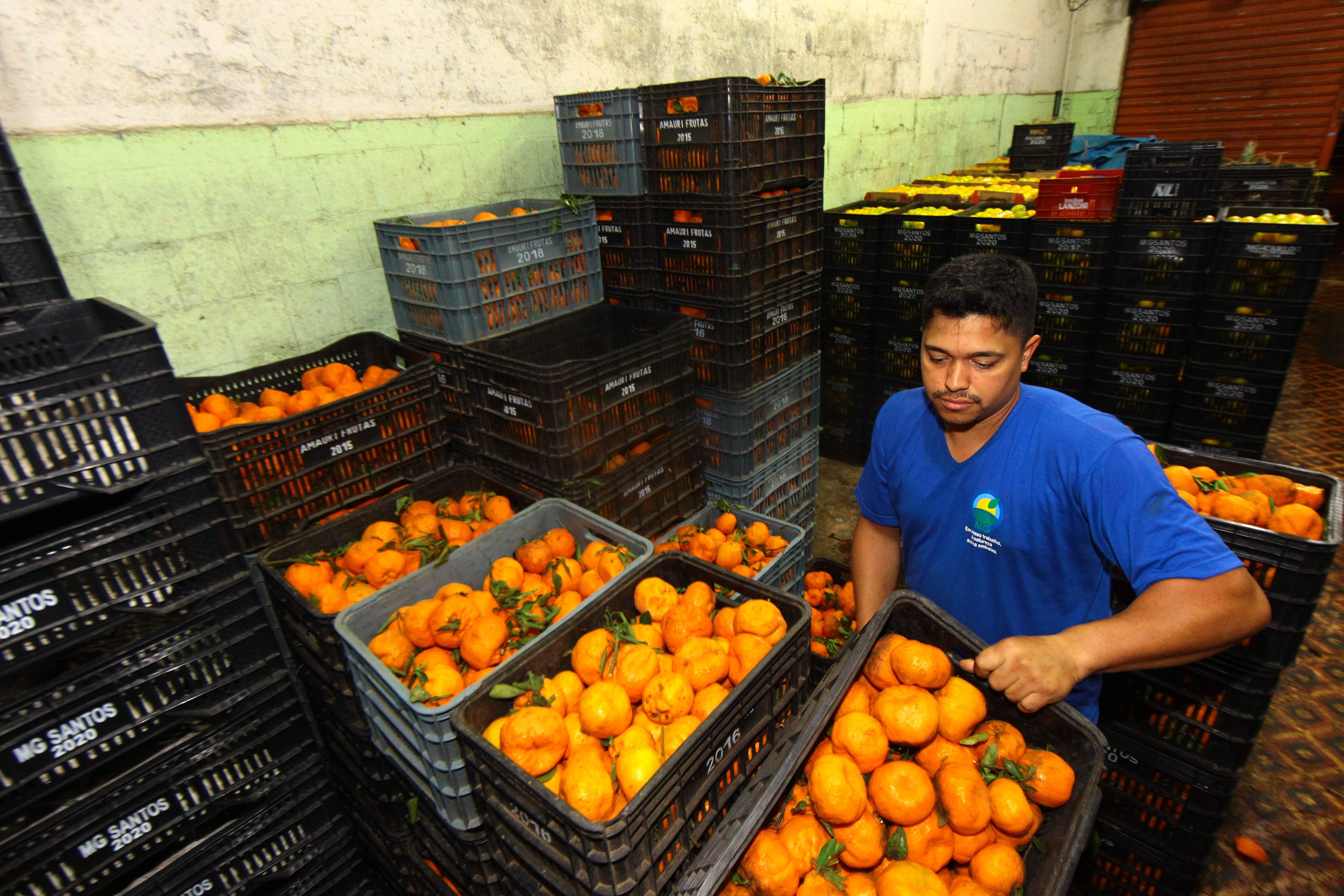 Comercialização de frutas, legumes e verduras tem início no Mercado