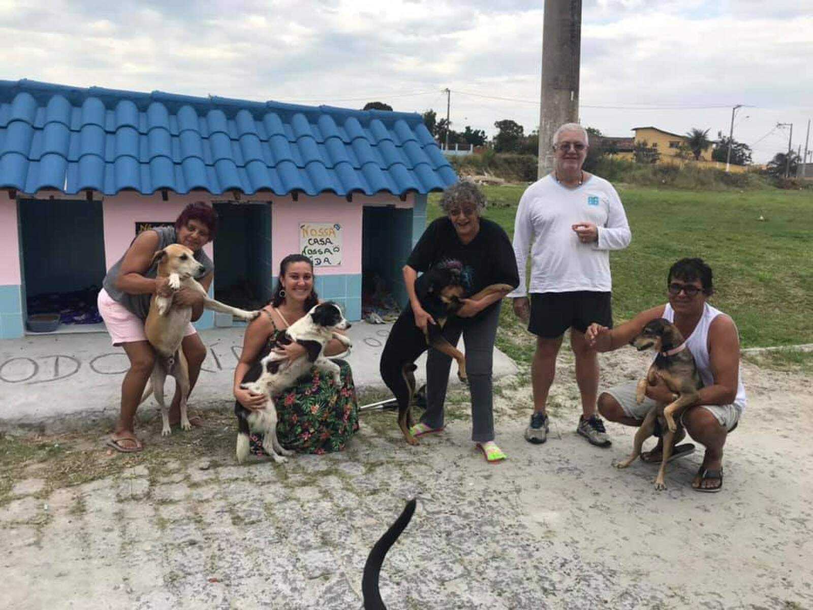 Vizinhos tiveram a ideia pois cinco cães da região já recebiam cuidados