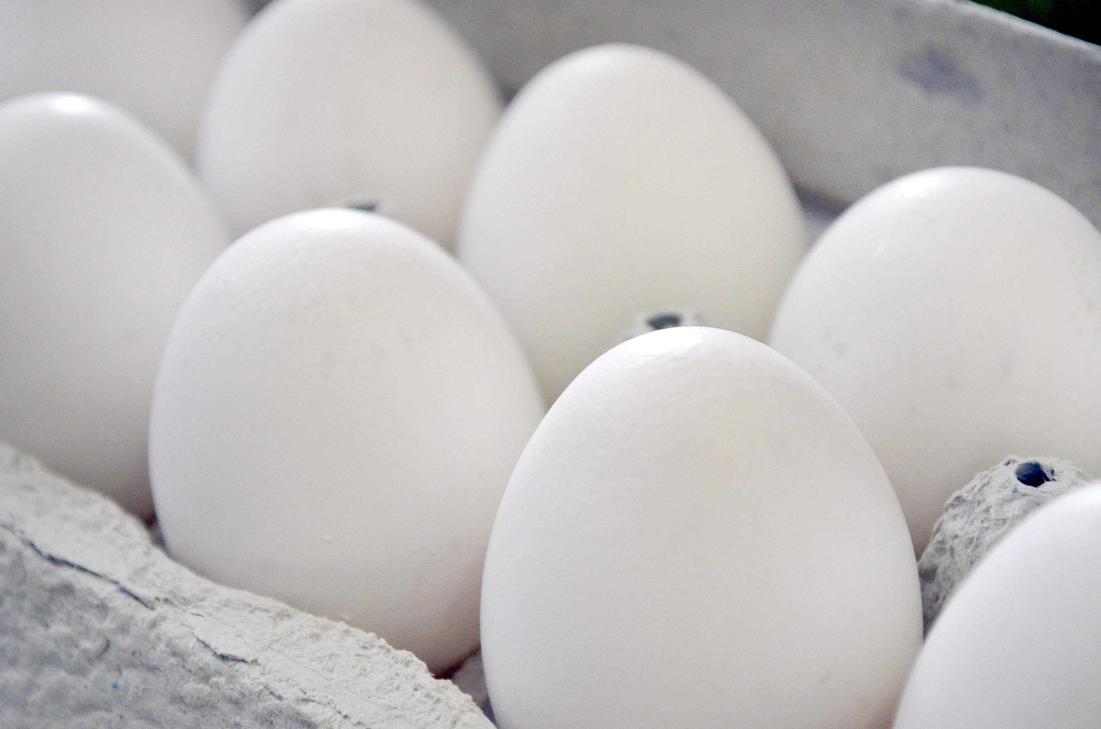 Vereador de Guarujá propõe regulamentação do ‘carro dos ovos’