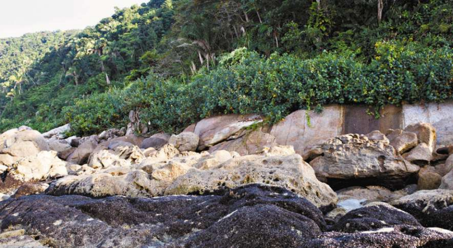Imagem feita na Praia do Guaiúba, um dos locais apontados pela pesquisa da Unifesp