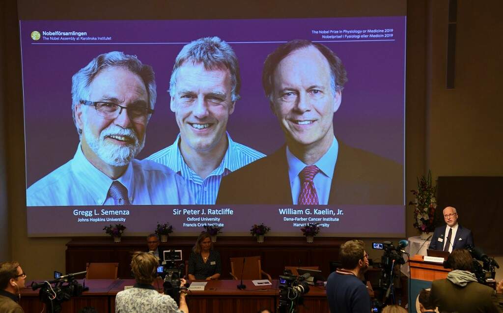 Trio será premiado com Nobel de Medicina por pesquisa