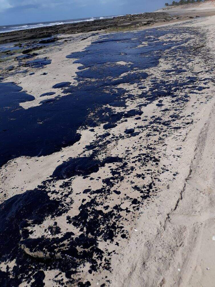 Resíduos de óleo praias do Nordeste