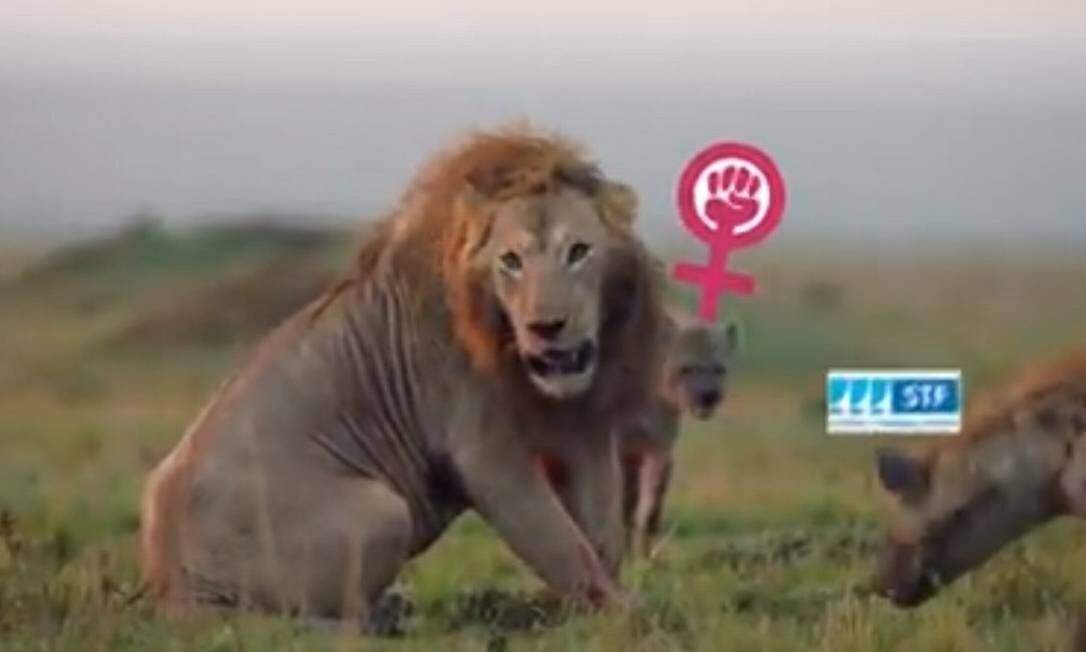 Em vídeo, Bolsonaro foi colocado como leão entre hienas