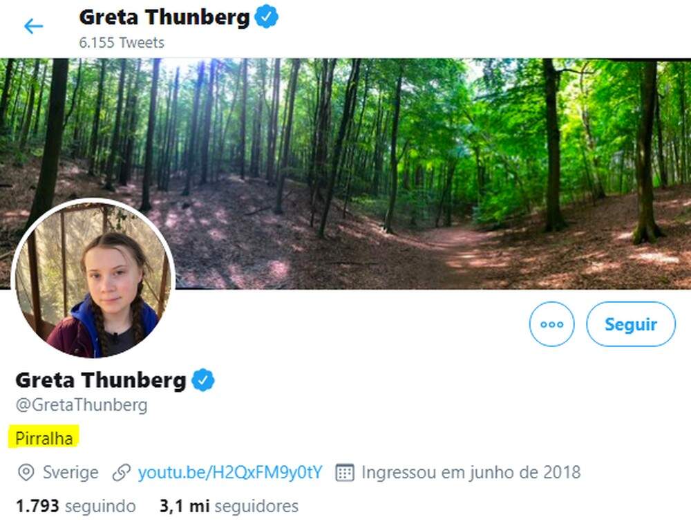 A ativista sueca Greta Thunberg atualizou a definição de seu perfil no Twitter para 