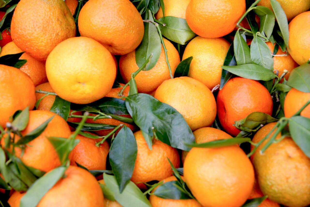 Corte em tarifa de importação da China inclui suco de laranja e avocado 