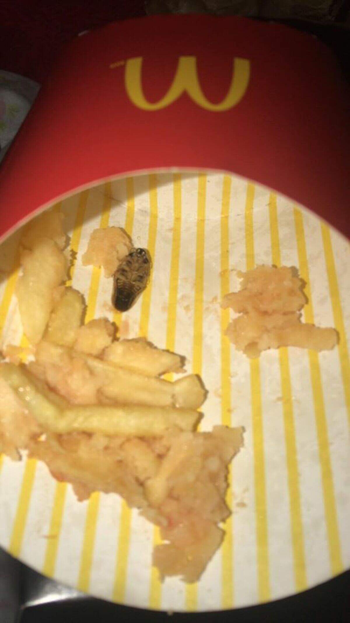 Barata morta é encontrada dentro de pacote de batata frita 