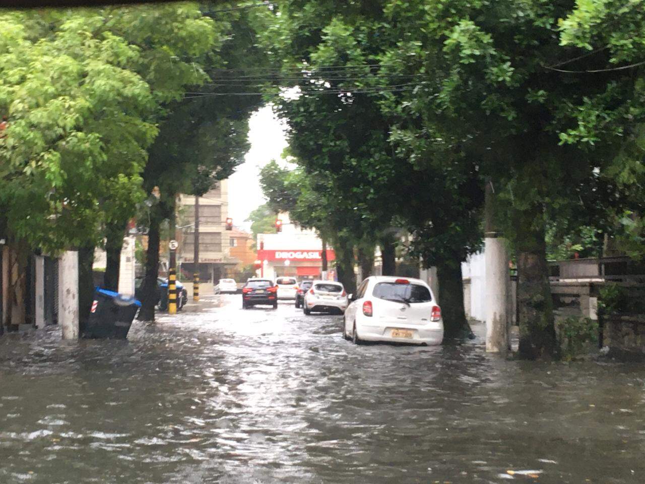 Rua Luis de Faria, no Gonzaga, ficou inundada após 'chuva absurda'