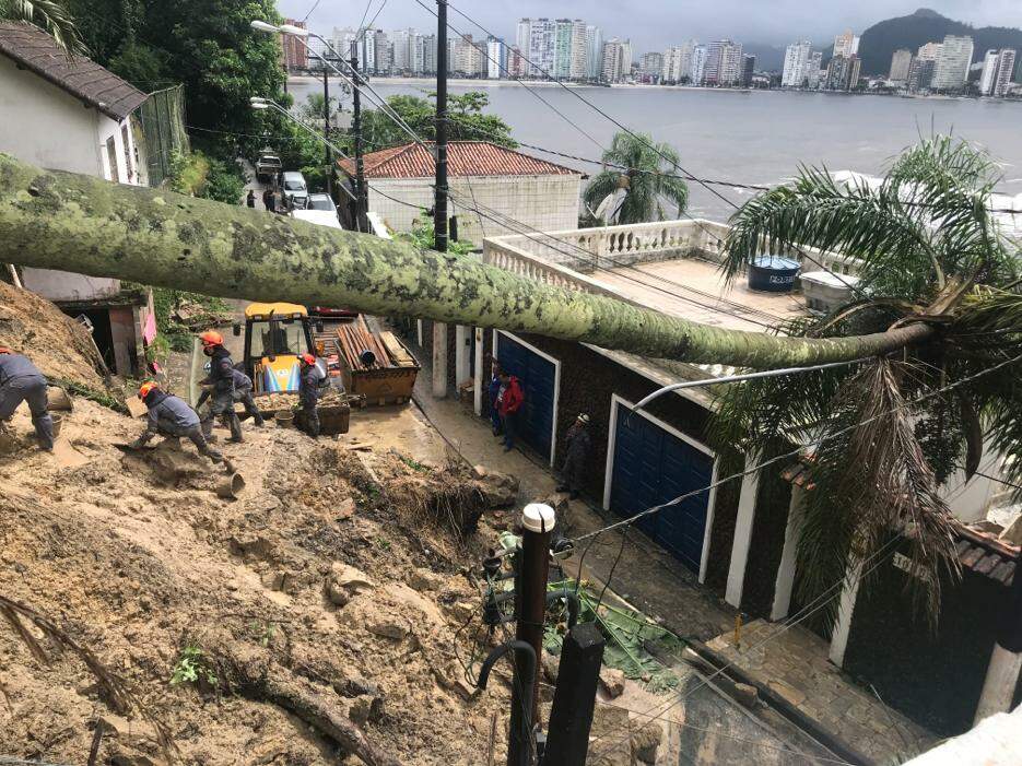 Árvore caiu por conta de deslizamento no Parque Prainha, em São Vicente