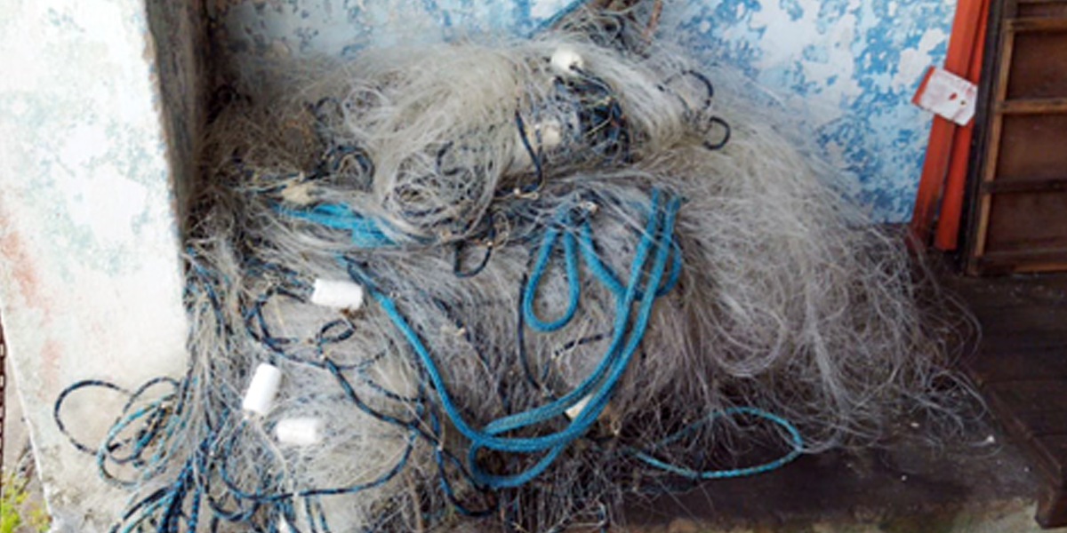 Animais estavam presos em rede de pesca próximo à Fortaleza de Itaipu