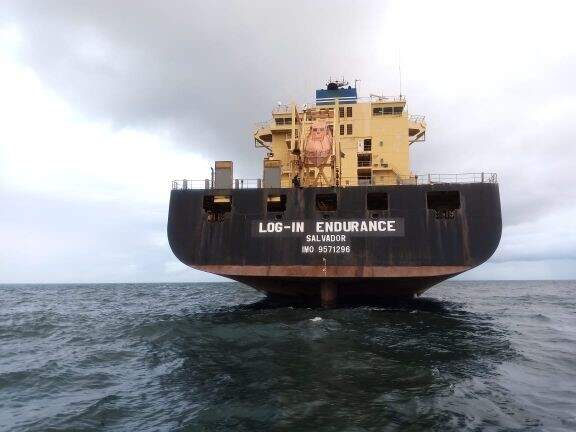 Novo navio porta-contêineres da Log-In Logística atenderá ao Mercosul e à cabotagem no Brasil
