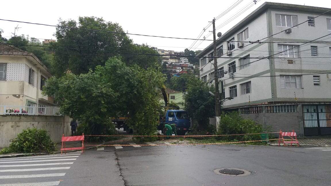 Ventos derrubaram árvores no Jabaquara, em Santos