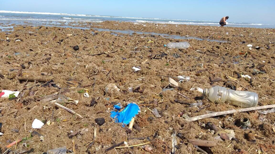 Quantidade de lixo é considerada alarmante por biólogo marinho 