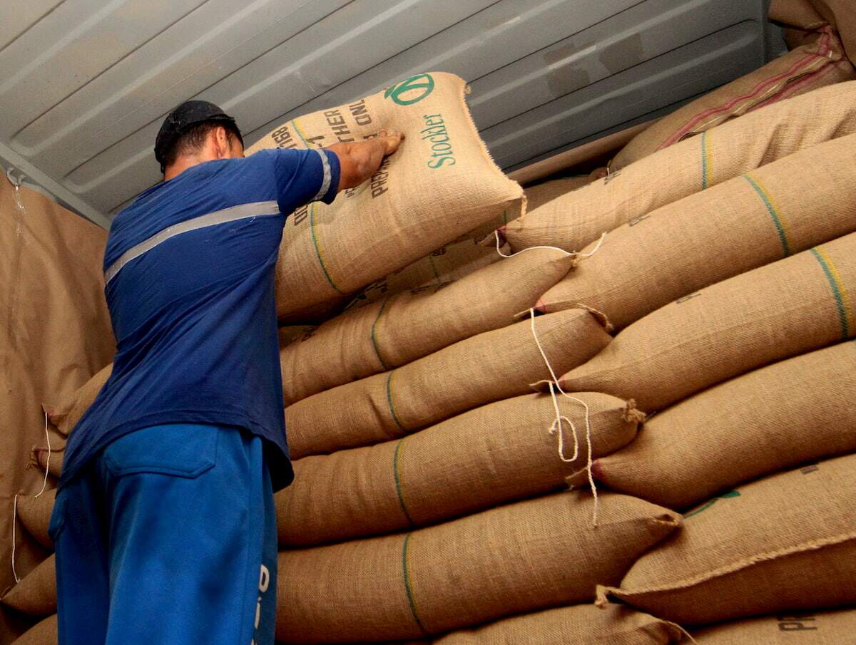 Em abril, embarques de café somaram 3,3 milhões de sacas no País