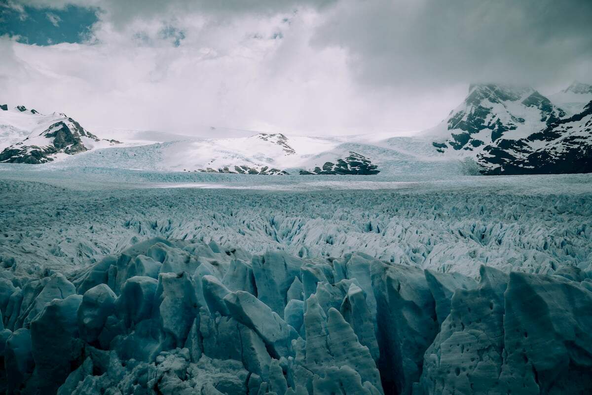Uma viagem pela fria Antártida, no 'Fantástico'.
