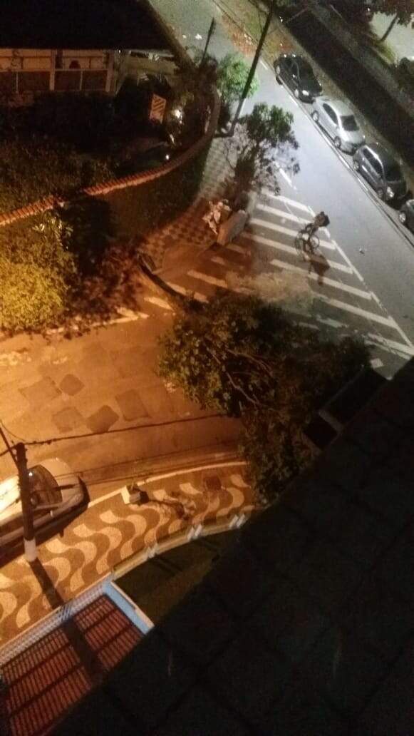 Árvore caiu na rua Heitor Vila Lobos com Canal 7, em Santos 