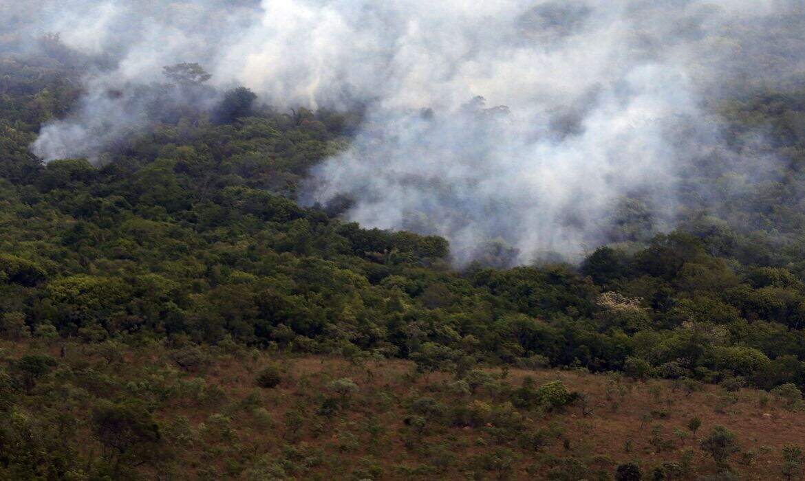 Inpe divulgou dados sobre as queimadas na Amazônia referentes ao mês de julho